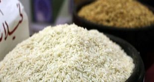 خرید برنج طارم ایرانی