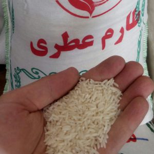خرید برنج ایرانی ارزان