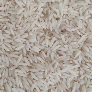 برنج شمال طارم هاشمی